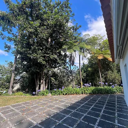 Natural Oasis With Panoramic View & Bio-diverse 9 950m2 Garden Villa